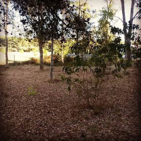 Masseria Donna Carlotta 3* Cannole