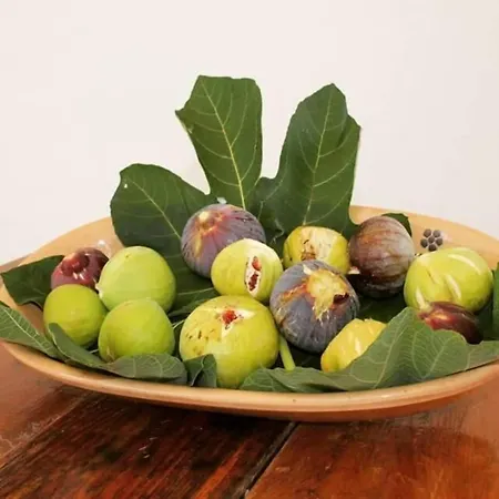 Masseria Donna Carlotta 住宿加早餐酒店 3*