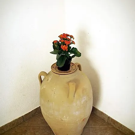 Masseria Donna Carlotta Bed & Breakfast