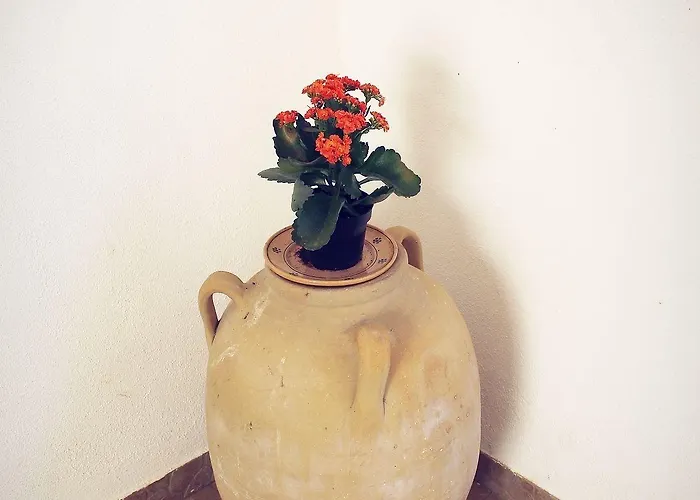 Bed & Breakfast Masseria Donna Carlotta